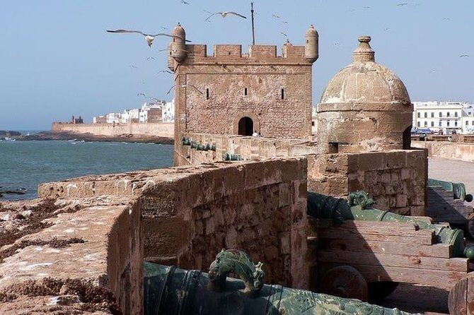 Shared group day trip from Marrakech to Essaouira mogador - Key Points