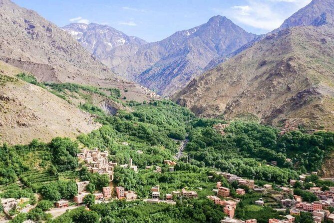 Shared group day trip from Marrakech to Ourika valley & atlas mountains - Who Will Love This Tour?