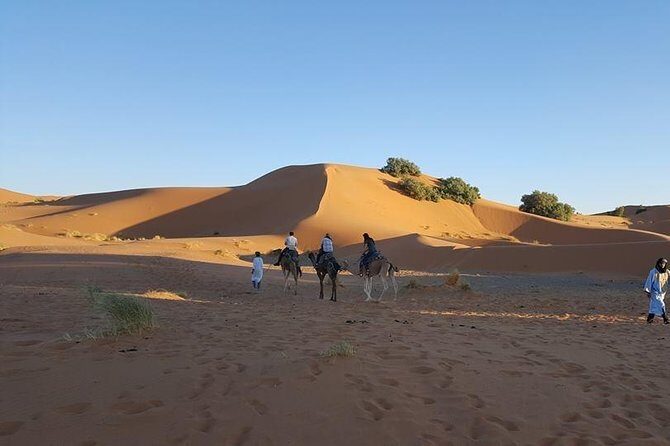 Shared Group Desert Tour Fez to Fez via Merzouga 2Days /1night - Key Points  
