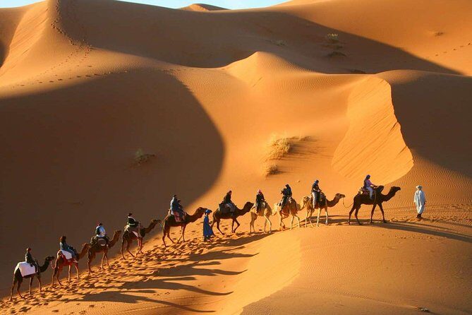 Shared Group Desert Tour from Marrakech for 3 days - Authentic Experiences Reported by Travelers