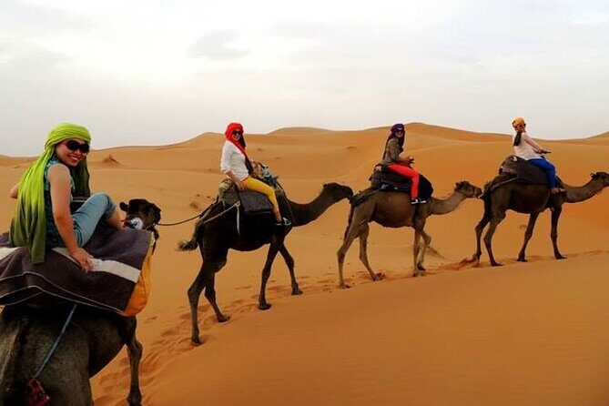 Shared group Fez to Fez Sahara tour 2Days/1Night - Final Thoughts