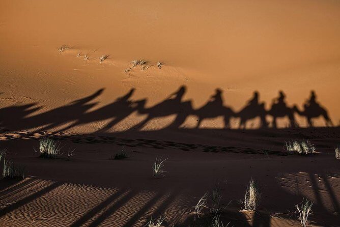 shared group Fez To Fez via Merzouga Desert Tour 2 Days/ 1 Night - Transportation and Guides: What’s the Experience?