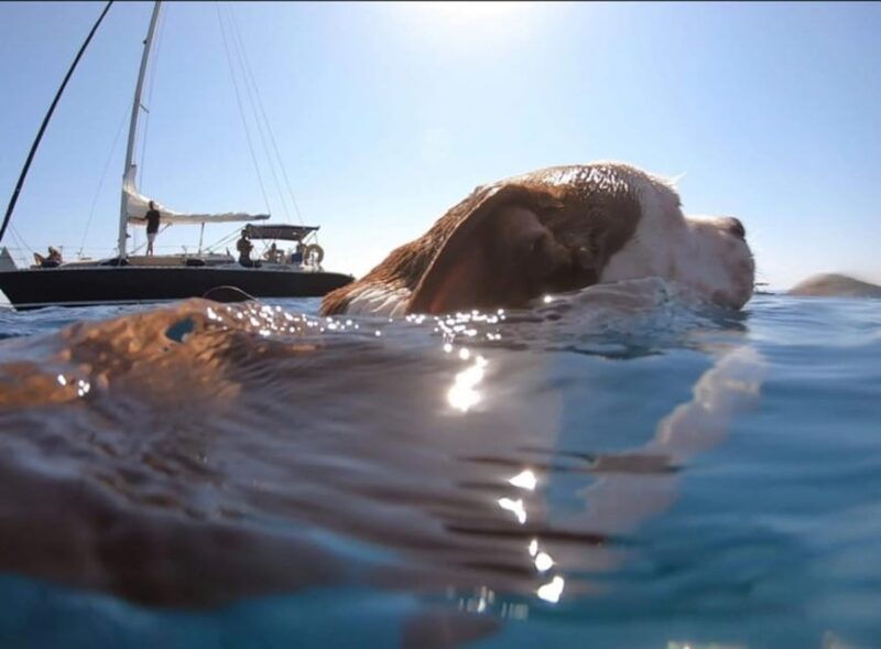 shared-half-day-cruise-in-athenian-riviera