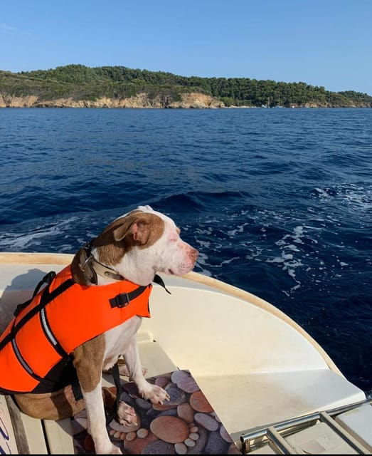 shared-half-day-cruise-in-athenian-riviera