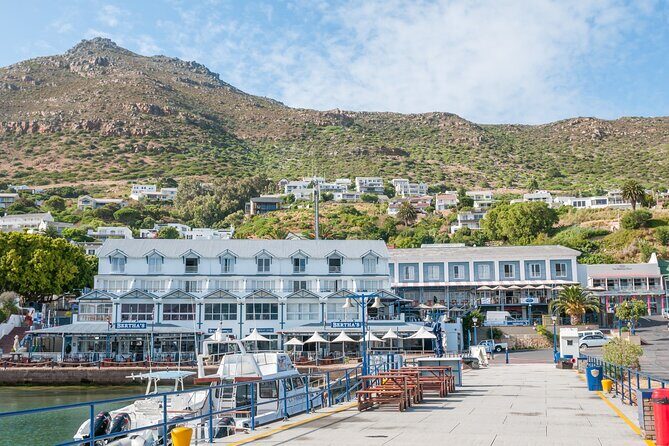 Shared Half Day Tour in Cape Peninsula with African Penguins - Who Is This Tour Best For?