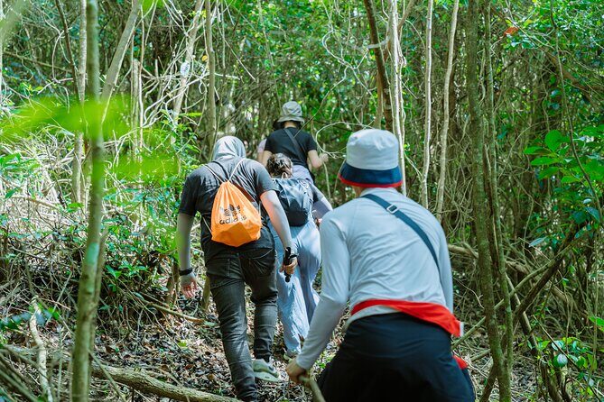 Shared Hiking and Paragliding Experience in Nha Trang - Key Points