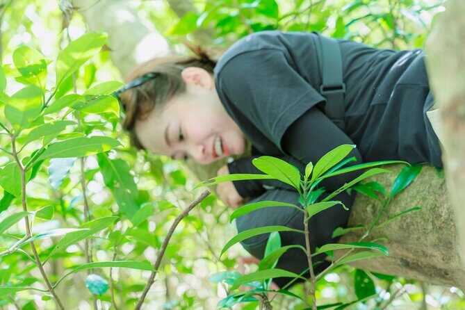 Shared Hiking and Paragliding Experience in Nha Trang - Practical Details and Value