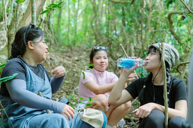 Shared Hiking and Paragliding Experience in Nha Trang - The Sum Up