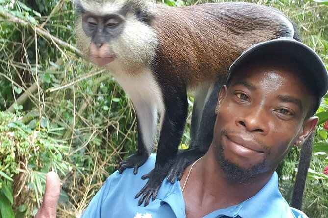 shared-island-tour-with-lunch-admissions