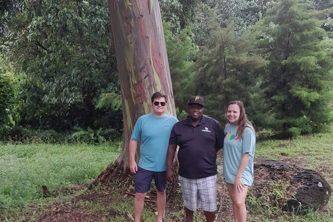 shared-island-tour-with-lunch-admissions