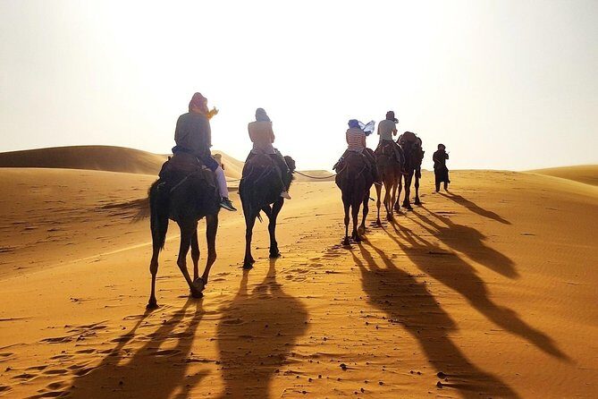 Shared Marrakech Desert Tour with Luxury camp - Value and Pricing Analysis