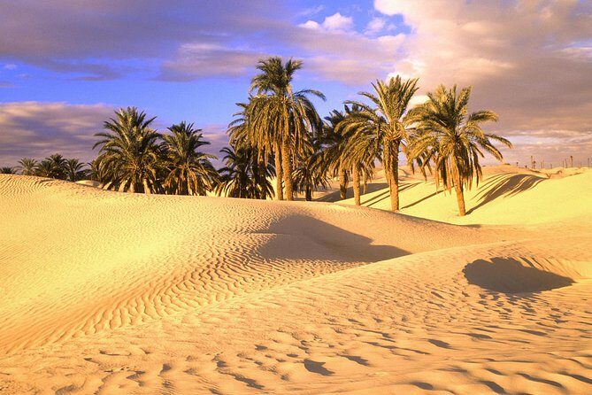 Shared Marrakech To Fes Desert Trip 4 Days 3 Nights - Who Is This Tour Best For?
