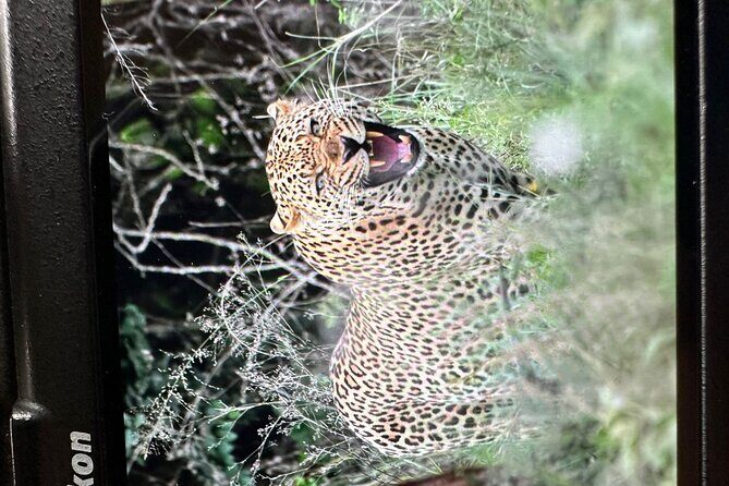 Shared Nairobi National Park Safari Tour - Who Is This Tour Best For?