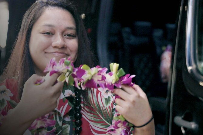 shared-round-trip-transfer-honolulu-airport-to-hotel-or-cruise-terminal