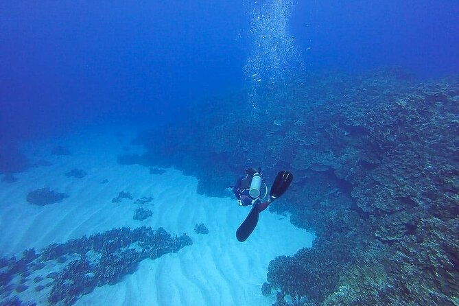 shared-scuba-diving-experience-on-easter-island-one-dive-only