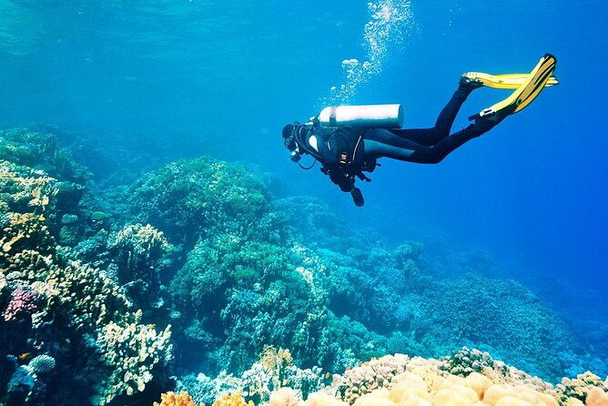 shared-scuba-diving-experience-on-easter-island-one-dive-only