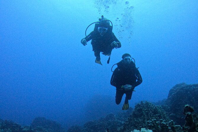 shared-scuba-diving-experience-on-easter-island-one-dive-only