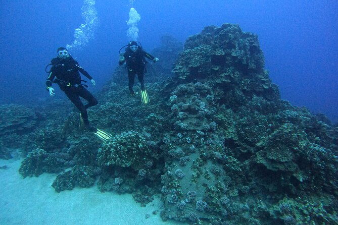 shared-scuba-diving-experience-on-easter-island-one-dive-only
