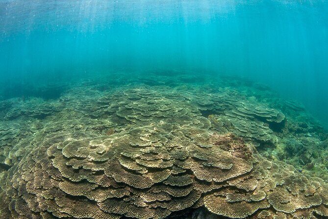 Shared Scuba Diving Trip in Kushimoto - The Itinerary in Detail