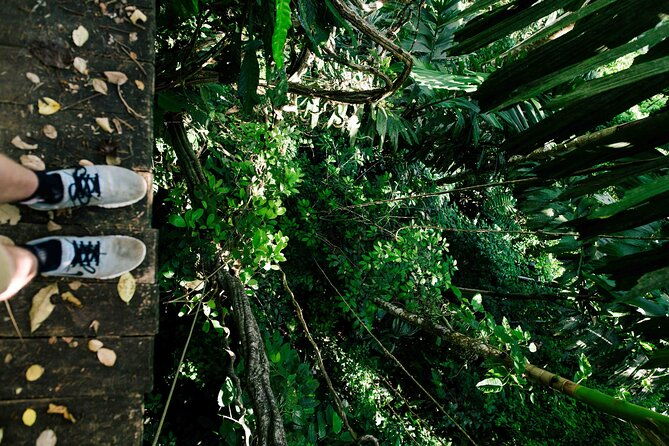 shared-shuttle-arenal-to-monteverde