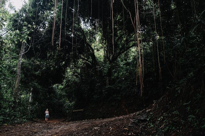 shared-shuttle-arenal-to-monteverde