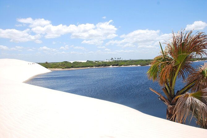 shared-shuttle-between-sao-luis-airport-and-barreirinhas