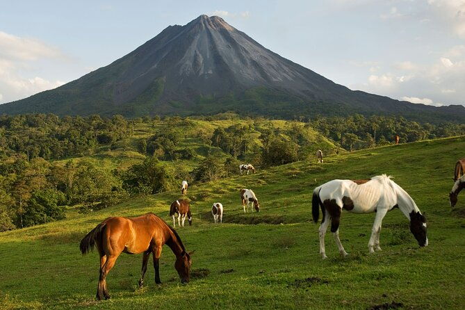 shared-shuttle-san-jose-to-arenal