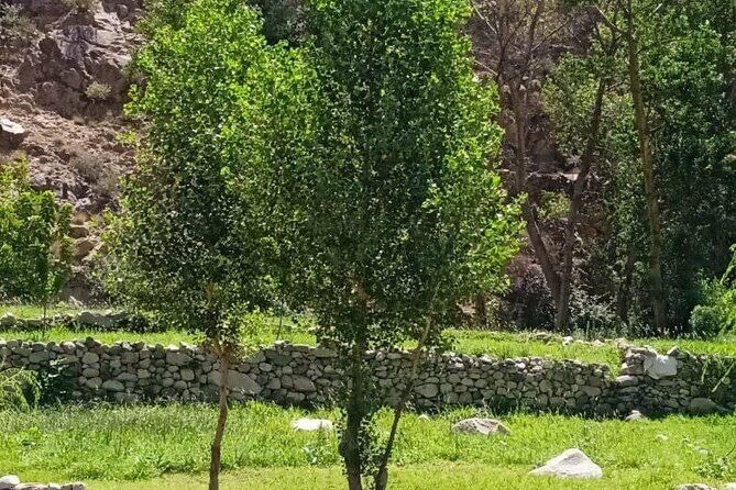Shared Sightseeing Tour to Ourika Valley with Transfer Included - FAQ