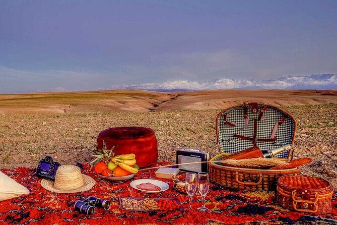 Shared Small group Day Trip to Agafay Desert & Camel Ride - Who Should Consider This Tour?