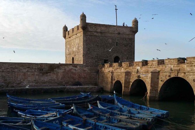 Shared-Small Group Day Trip to Essaouira from Marrakech - Who Should Book This Tour?