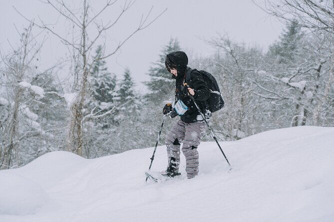 shared-snowshoe-hiking-tour-in-semboku