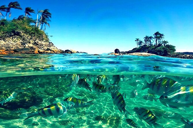 shared-speedboat-tour-paradise-island-tour