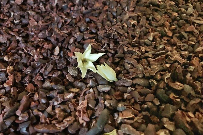 shared-tour-by-minivan-or-car-from-syracuse-to-ragusa-noto-and-modica-2