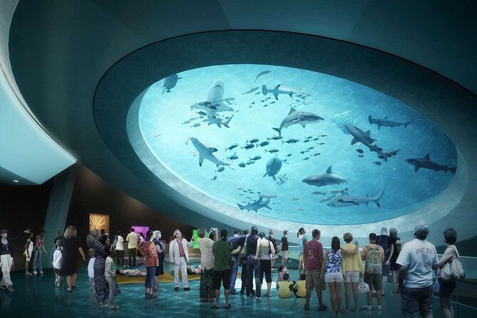 shared-tour-in-miami-with-transfer