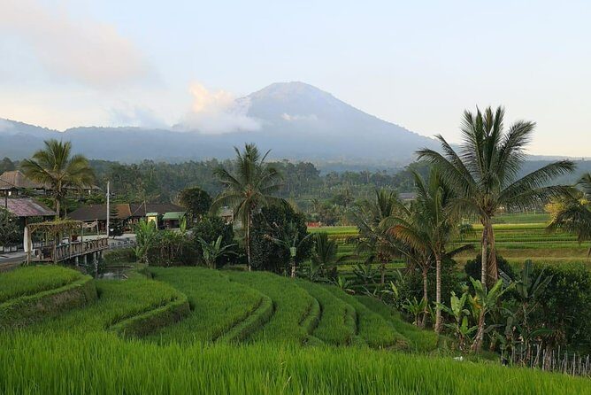 Shared Tour: Jatiluwih Rice Terraces - Ulun Danu Temple - Banyumala Waterfalls - Key Points
