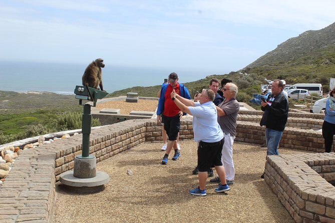 Shared Tour to Cape of Good Hope Penguins Chapman's Peak From Cape Town Full Day - FAQ