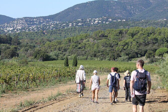 shared-tour-wine-tour-from-saint-tropez-4