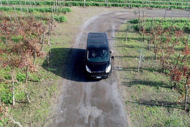 shared-transfer-from-sorrento-to-naples-airport