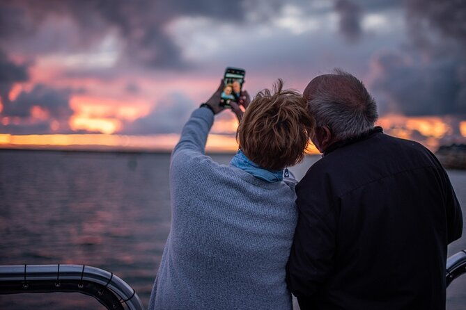 shared-two-hour-whale-watching-tour-from-oceanside
