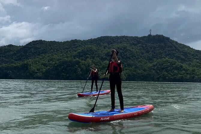 Sharing Kayak Expedition - Discover Langkawis Secret Mangroves - Final Thoughts