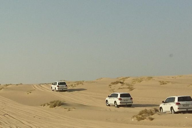 Sharing or Private Safari, Sand Boarding, Camel Ride, inland Sea Quick swim - Transport and Group Experience