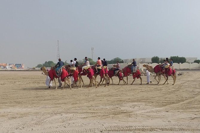 Sharing or Private Safari, Sand Boarding, Camel Ride, inland Sea Quick swim - Price and Value