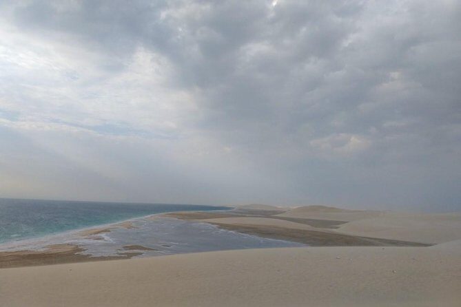 Sharing or Private Safari, Sand Boarding, Camel Ride, inland Sea Quick swim - The Sum Up  