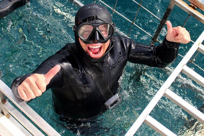 Shark Cage Diving and Viewing with transport from Cape Town - An In-Depth Look at the Shark Cage Diving Tour