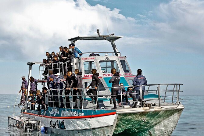 Shark Cage Diving and Viewing with transport from Hermanus - FAQ
