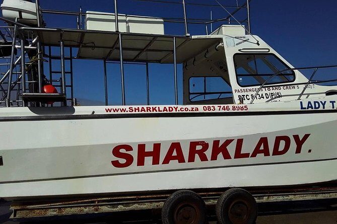 Shark Cage Diving - Key Points