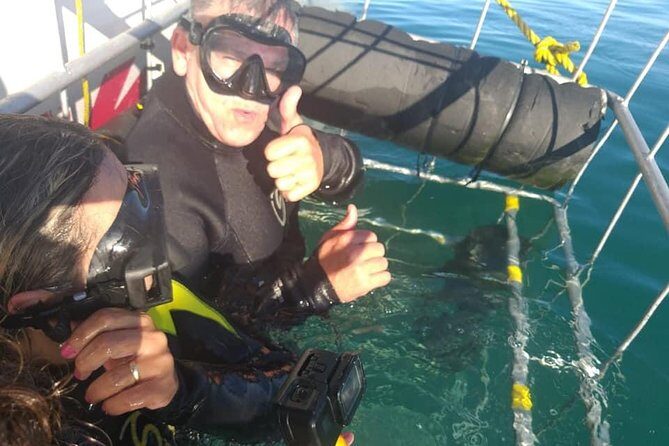 Shark Cage Diving - Authentic Experiences & Real Reviewer Insights
