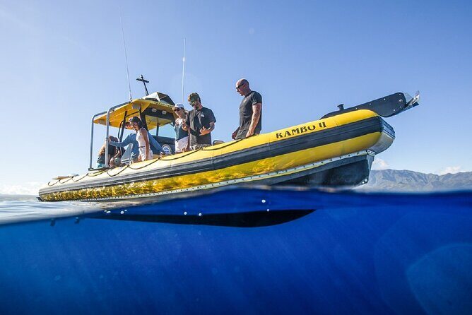 Shark-Dive Tour on Oahu's North Shore - Analyzing the Value for Money