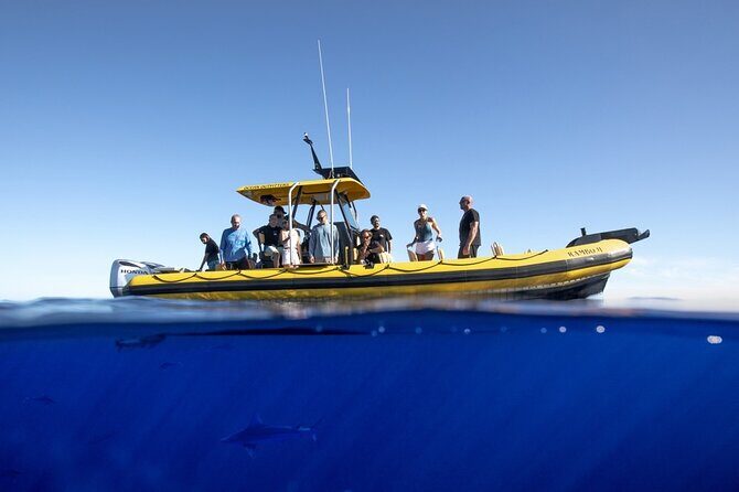 Shark-Dive Tour on Oahu's North Shore - Who Would Love This Tour?