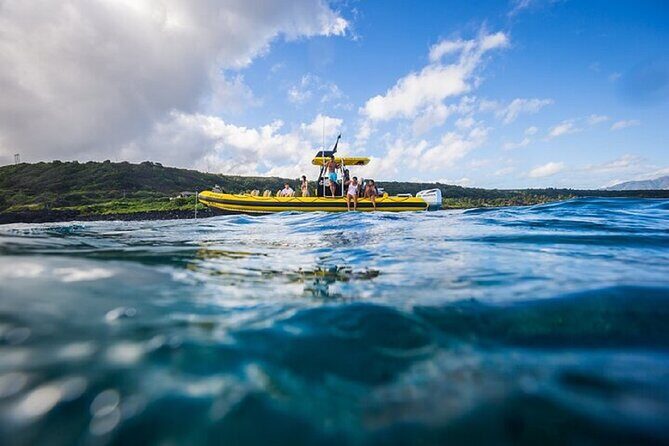 Shark-Dive Tour on Oahu's North Shore - Final Thoughts